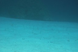 20021010_2_Samaday_0020